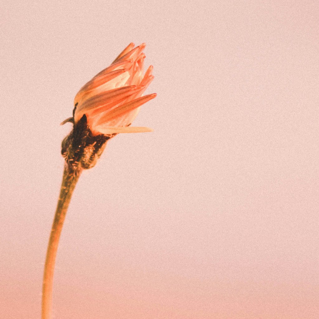 The Classroom: Seeing&nbsp;Changes